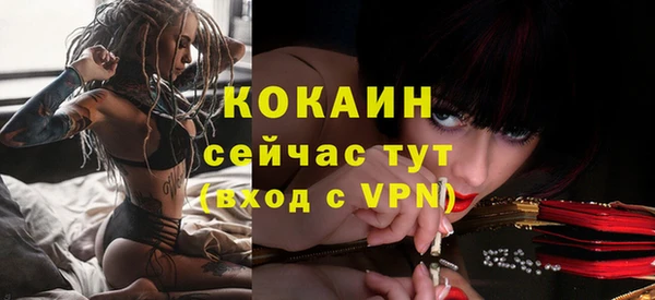 мдпв Протвино