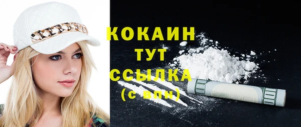 шишки Губаха