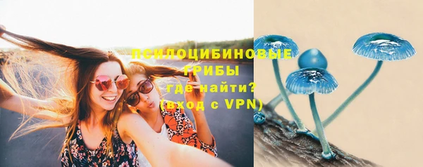 прущие крисы Приозерск