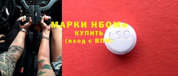 шишки Губаха
