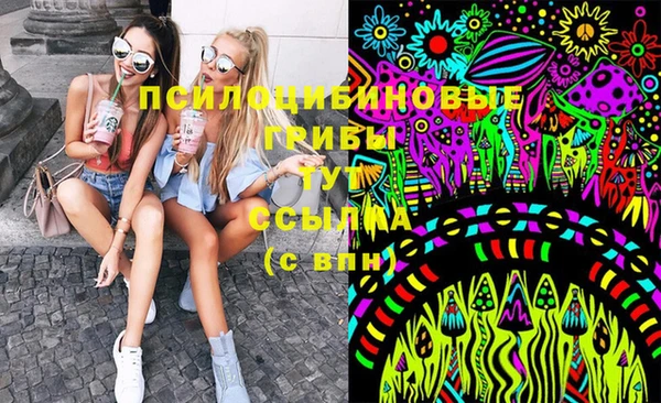 ГАЛЛЮЦИНОГЕННЫЕ ГРИБЫ Снежногорск