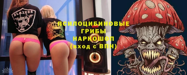 МДПВ Пролетарск
