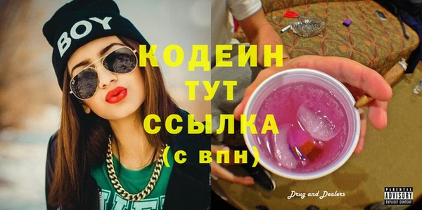 мдпв Протвино
