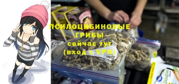 прущие крисы Приозерск