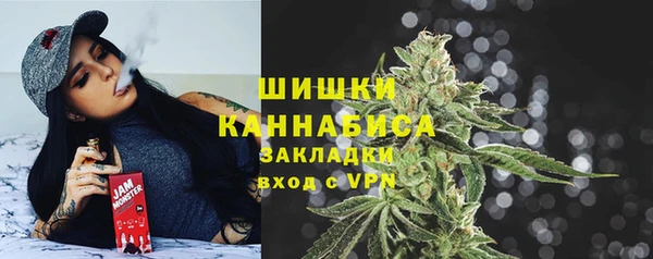 мдпв Протвино