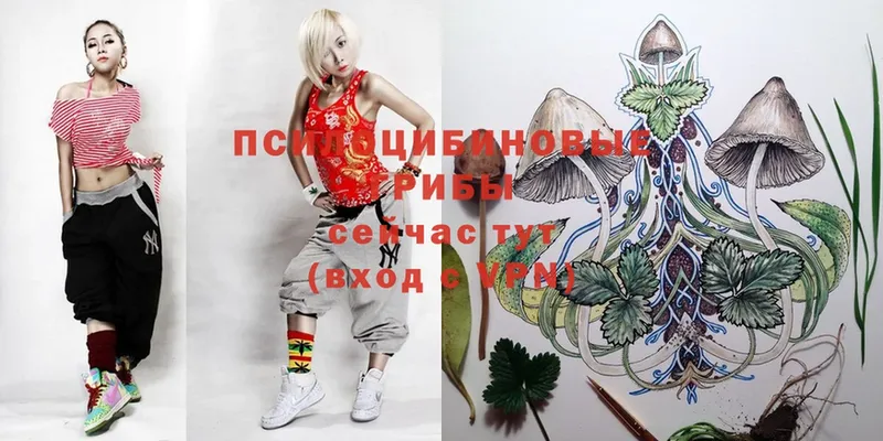 Псилоцибиновые грибы Cubensis Абинск