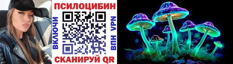 блэк спрут ссылки Абинск Галлюциногенные грибы Cubensis хочу