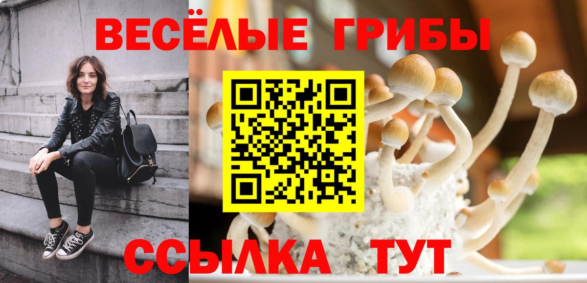 Галлюциногенные грибы прущие грибы  купить наркотик  Псилоцибиновые грибы Psilocybe  Абинск 
